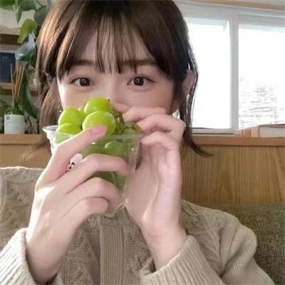 情满雪阳花